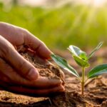 Econovas Gröna Revolution: Jord och Trädgårdsprodukter för Alla