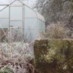 Skydda Dina Växter Mot Vintern: En Guide Till Rätt Material